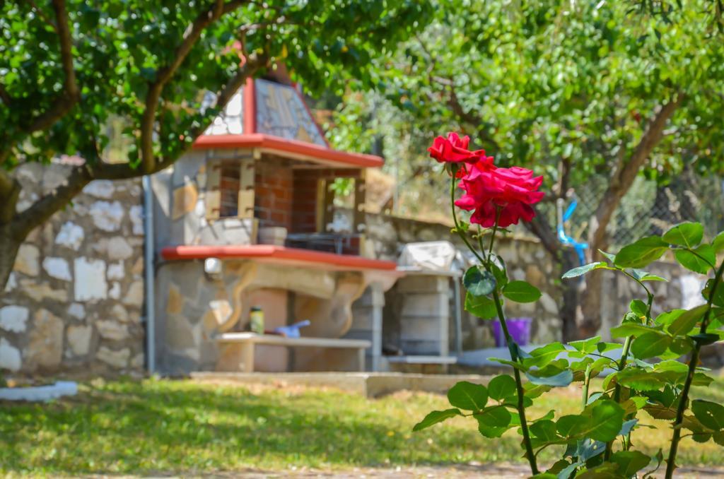 Pension Assos Koinira Dış mekan fotoğraf