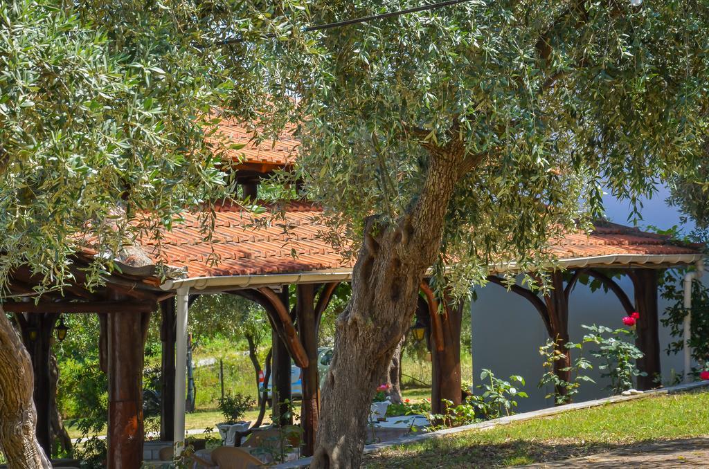 Pension Assos Koinira Dış mekan fotoğraf